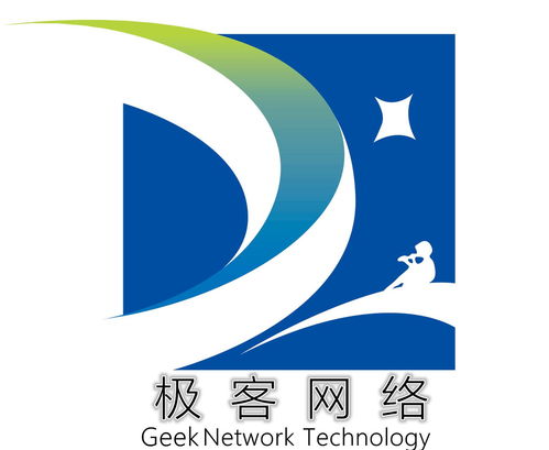 福建極客網絡科技 技術驅動創新，數字賦能未來